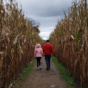 Meet your Posher, Brendan